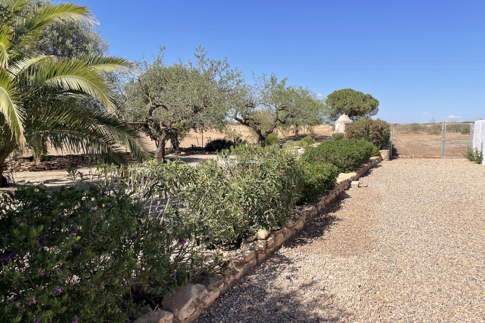Wiederverkauf - Country Property/Finca - La Pinilla - Inland