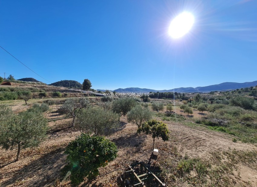 Wiederverkauf - Country Property/Finca - La Romana - Inland