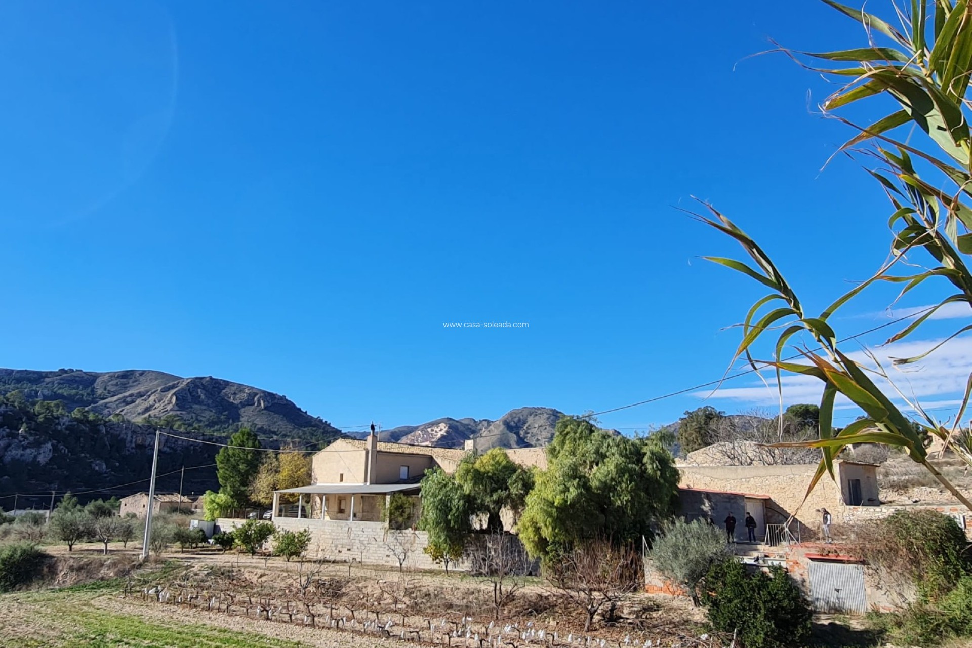 Wiederverkauf - Country Property/Finca - La Romana - Inland