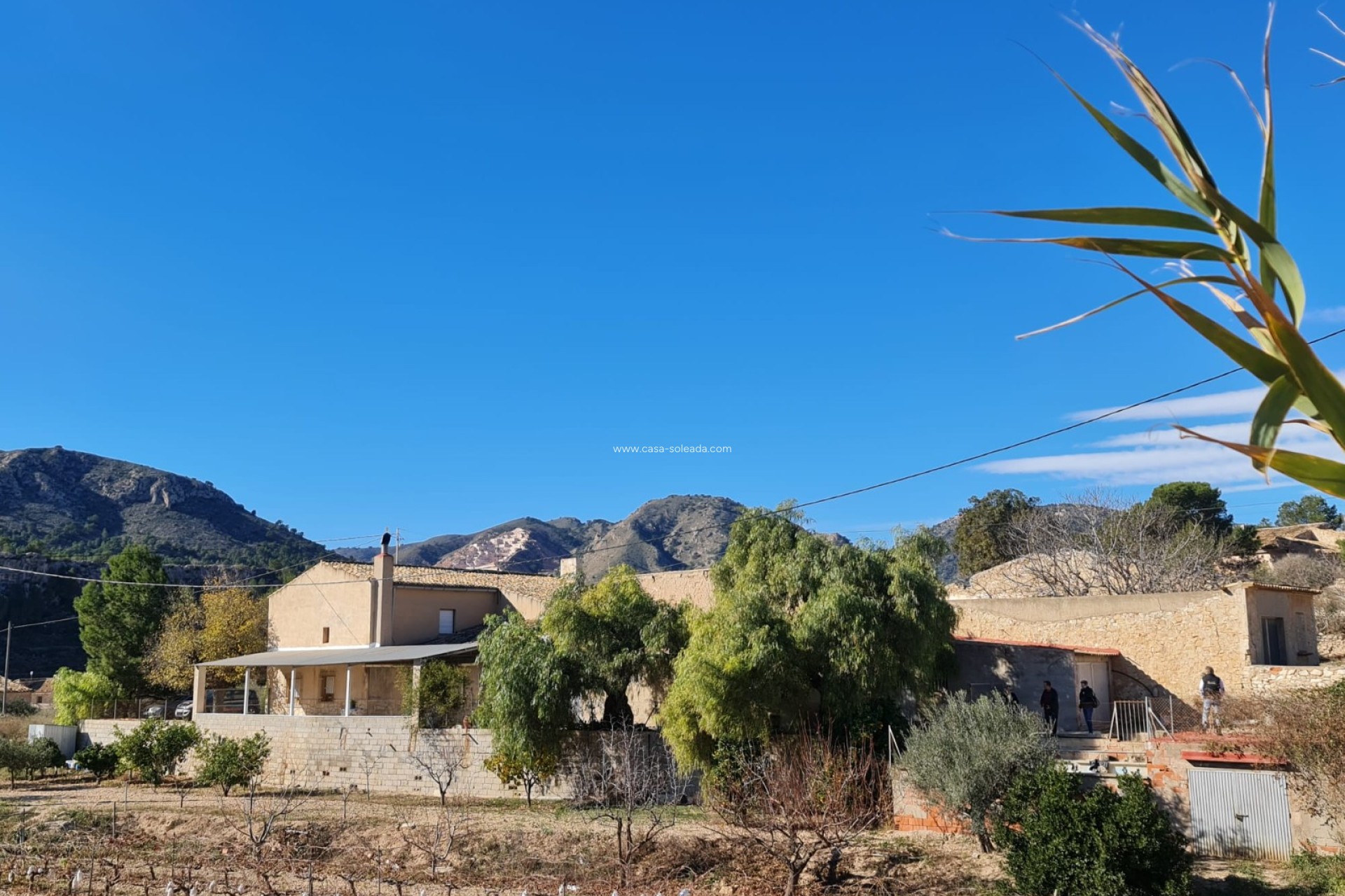 Wiederverkauf - Country Property/Finca - La Romana - Inland