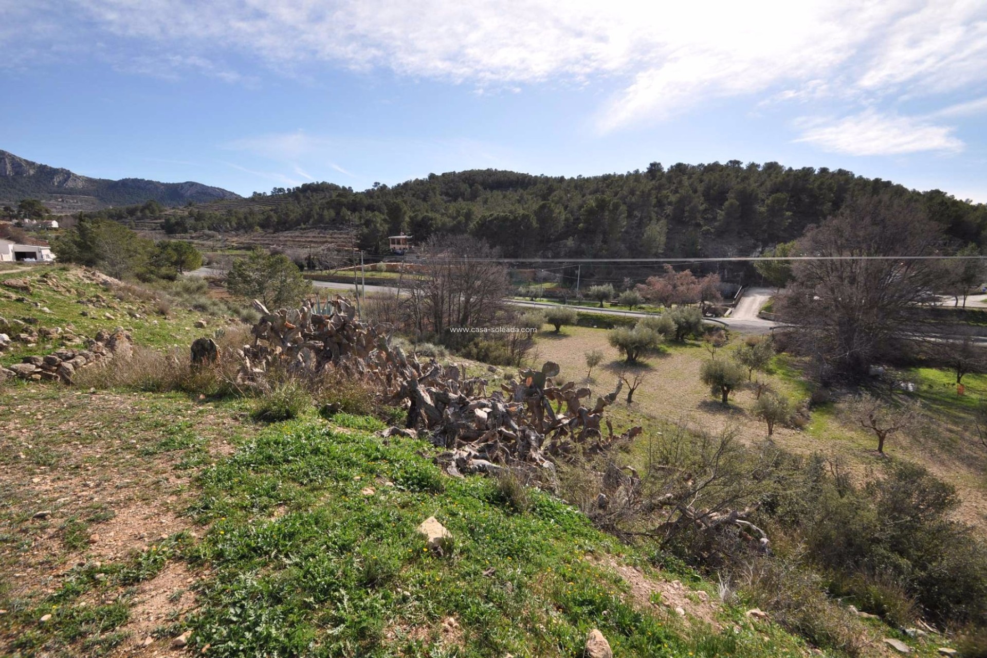 Wiederverkauf - Country Property/Finca - La Zarza - Inland