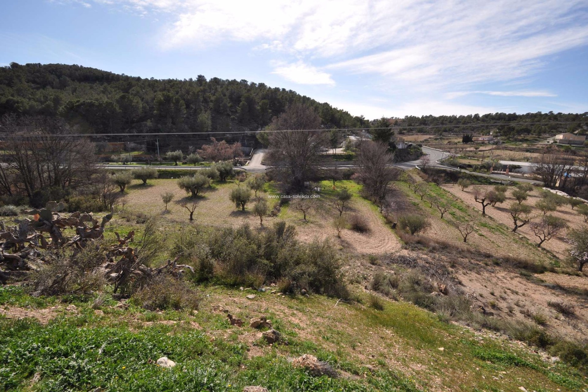 Wiederverkauf - Country Property/Finca - La Zarza - Inland