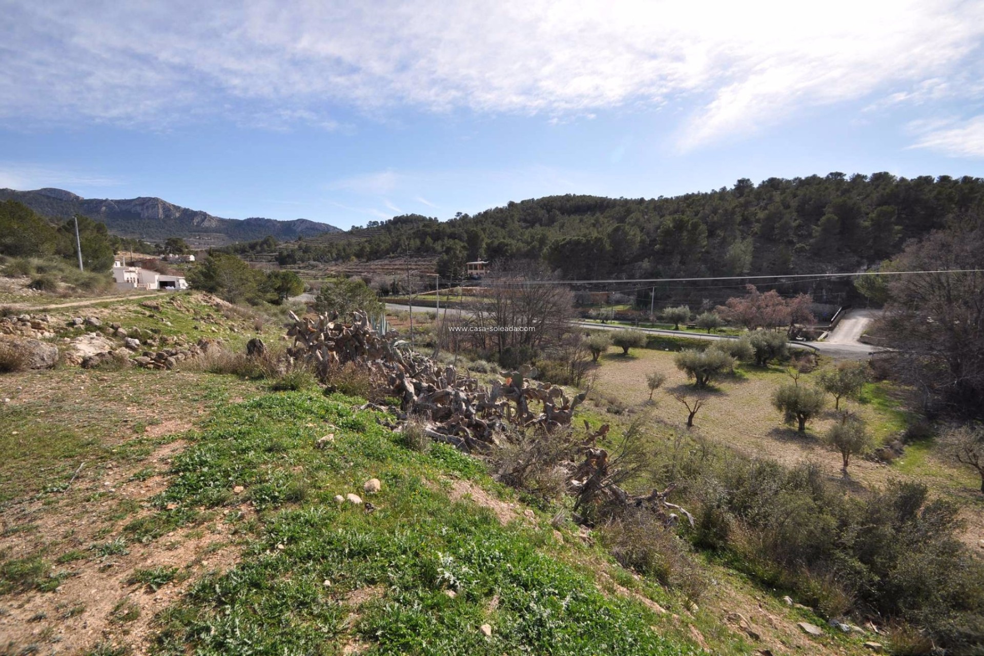Wiederverkauf - Country Property/Finca - La Zarza - Inland