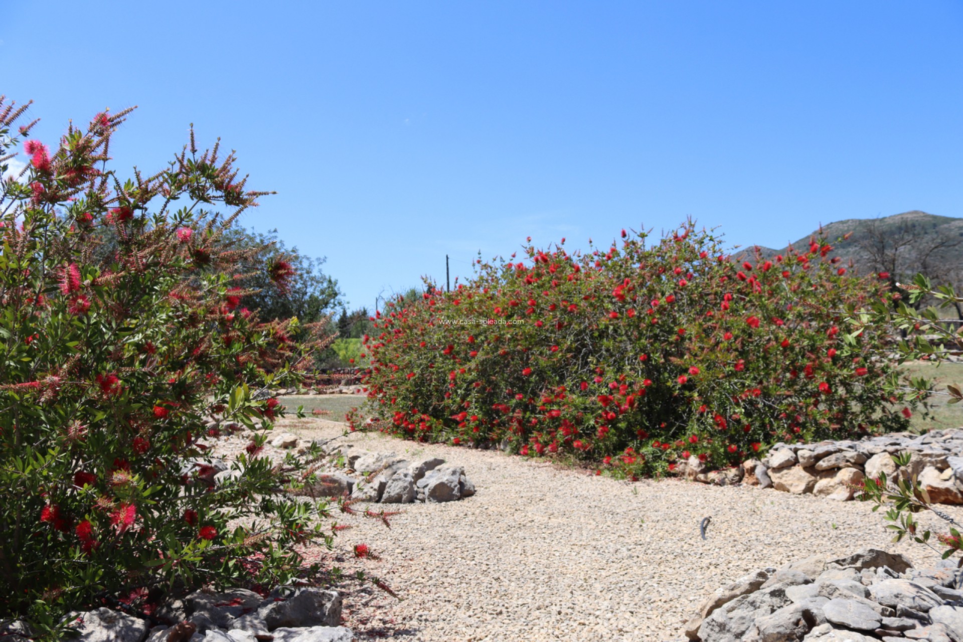 Wiederverkauf - Country Property/Finca - Lliber - Inland