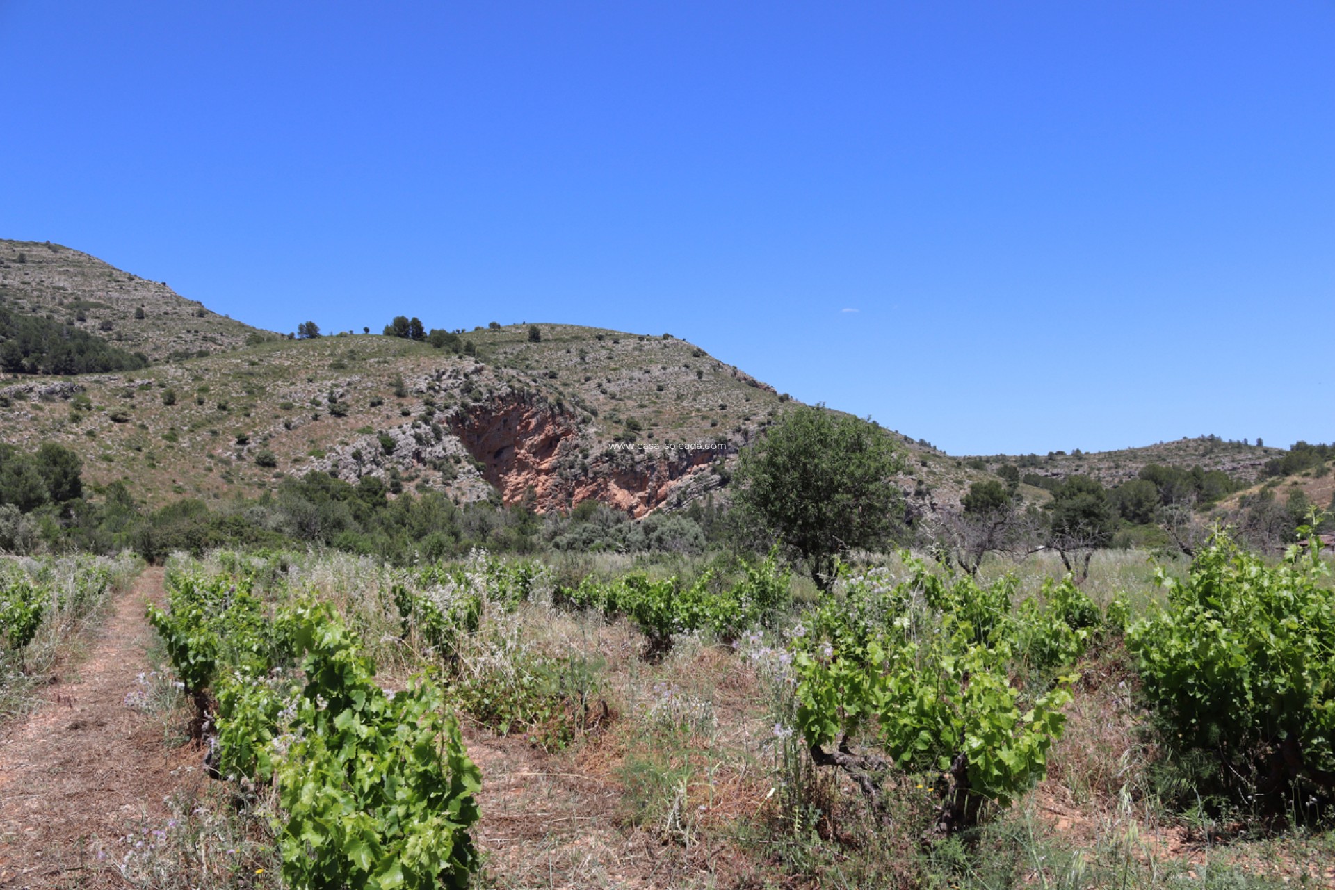 Wiederverkauf - Country Property/Finca - Lliber - Inland