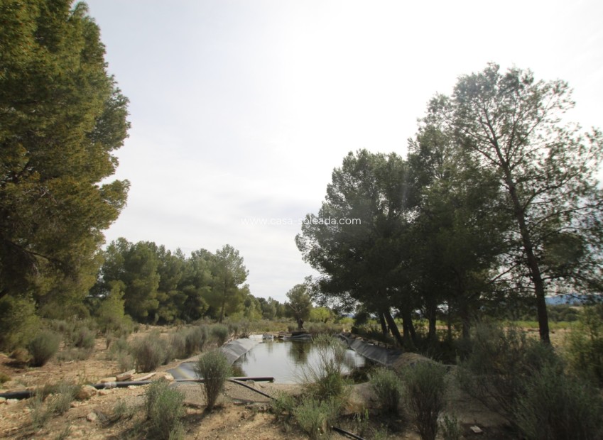Wiederverkauf - Country Property/Finca - Monóvar - Inland