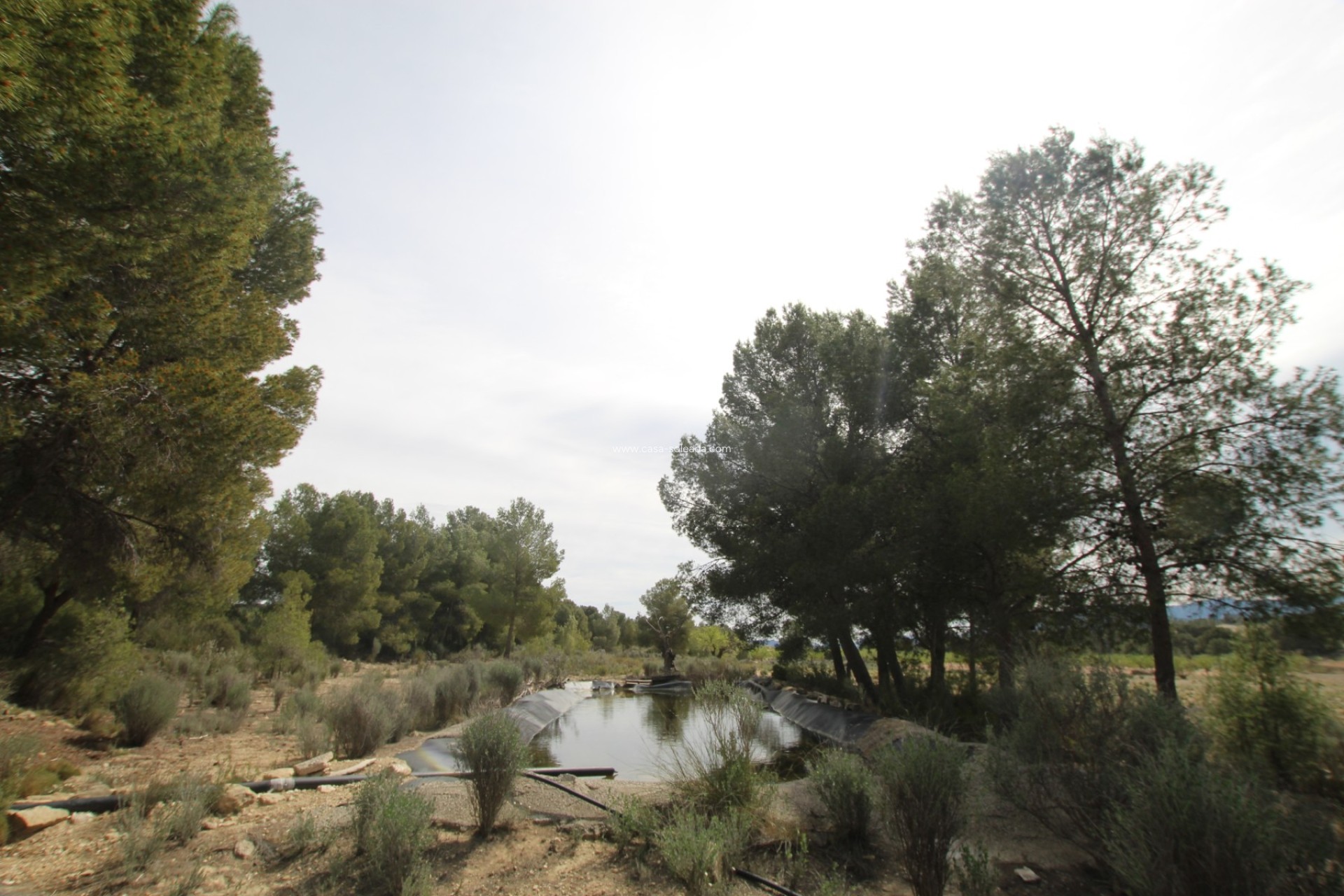 Wiederverkauf - Country Property/Finca - Monóvar - Inland
