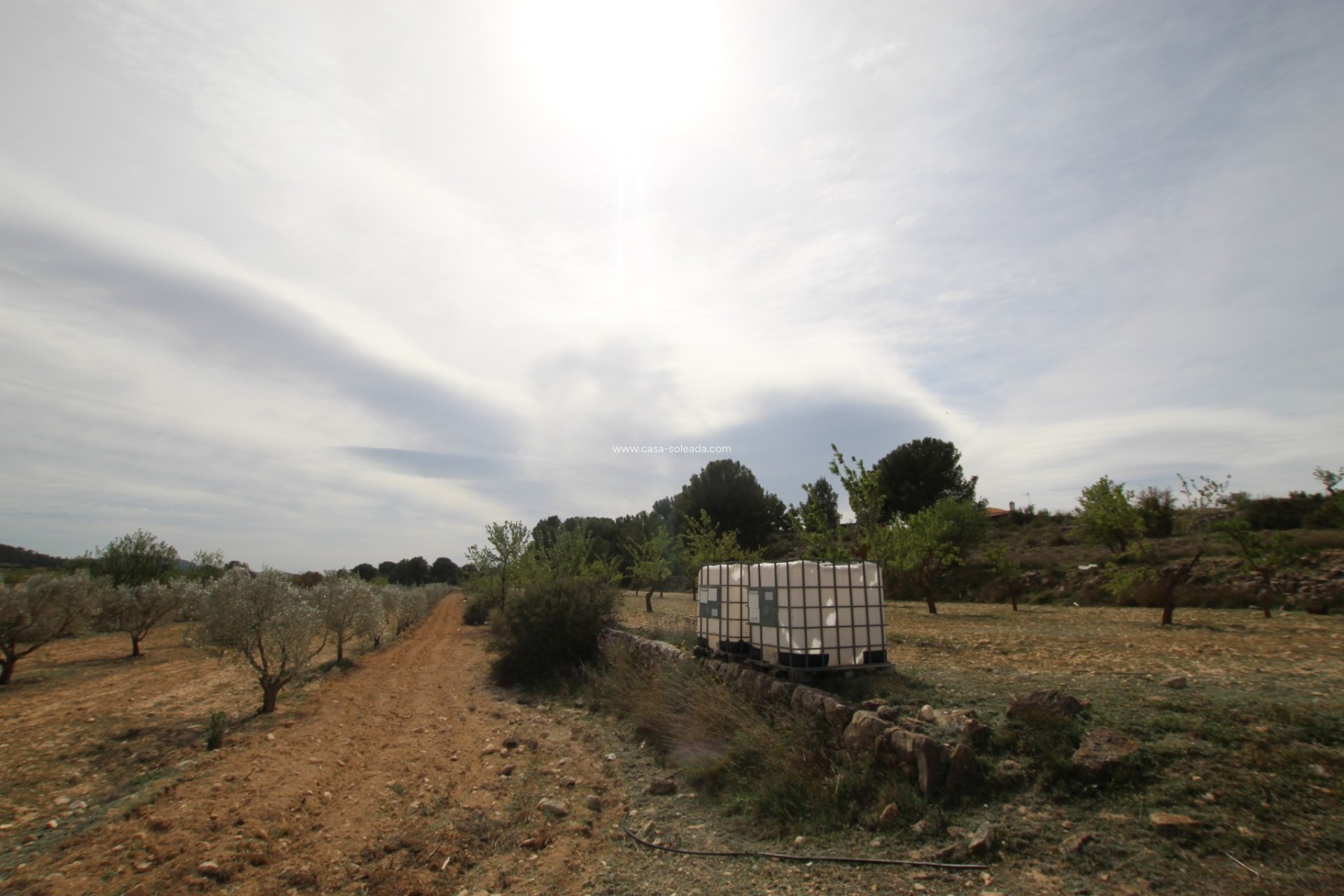 Wiederverkauf - Country Property/Finca - Monóvar - Inland