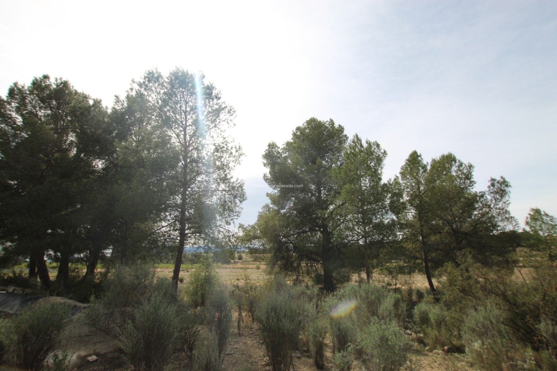 Wiederverkauf - Country Property/Finca - Monóvar - Inland