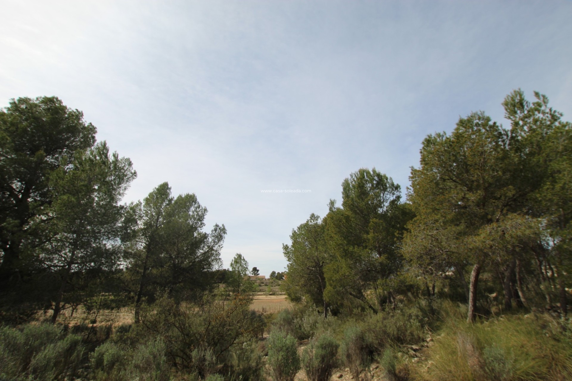 Wiederverkauf - Country Property/Finca - Monóvar - Inland