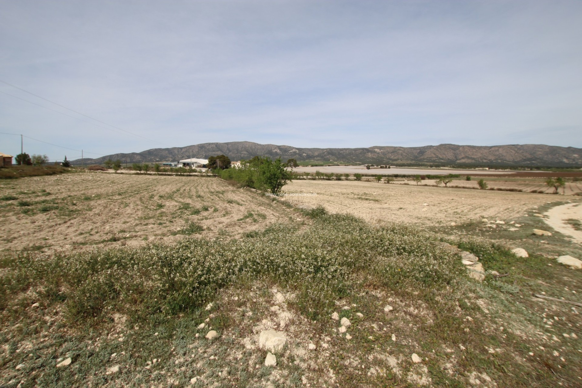 Wiederverkauf - Country Property/Finca - Monóvar - Inland
