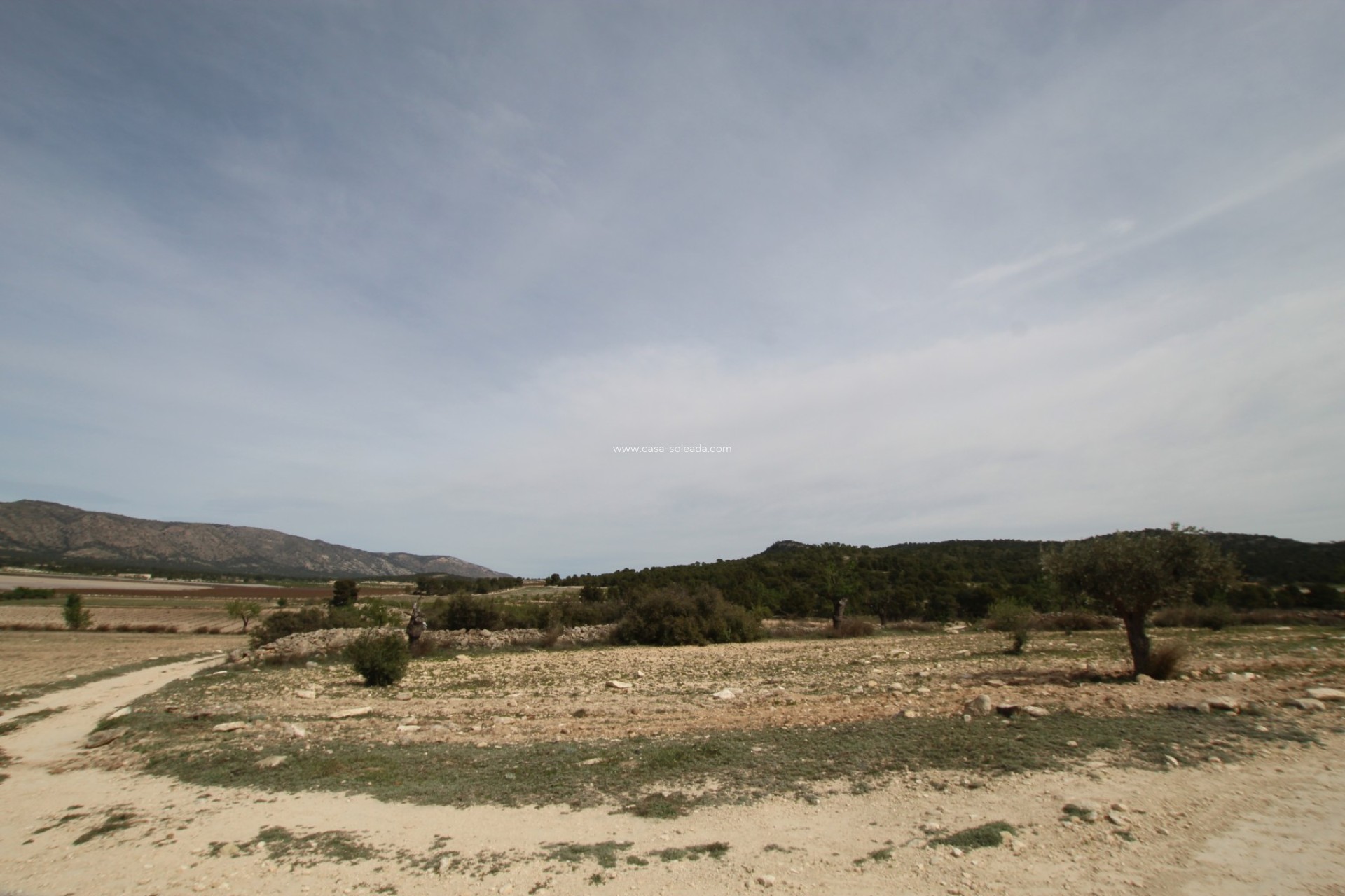 Wiederverkauf - Country Property/Finca - Monóvar - Inland