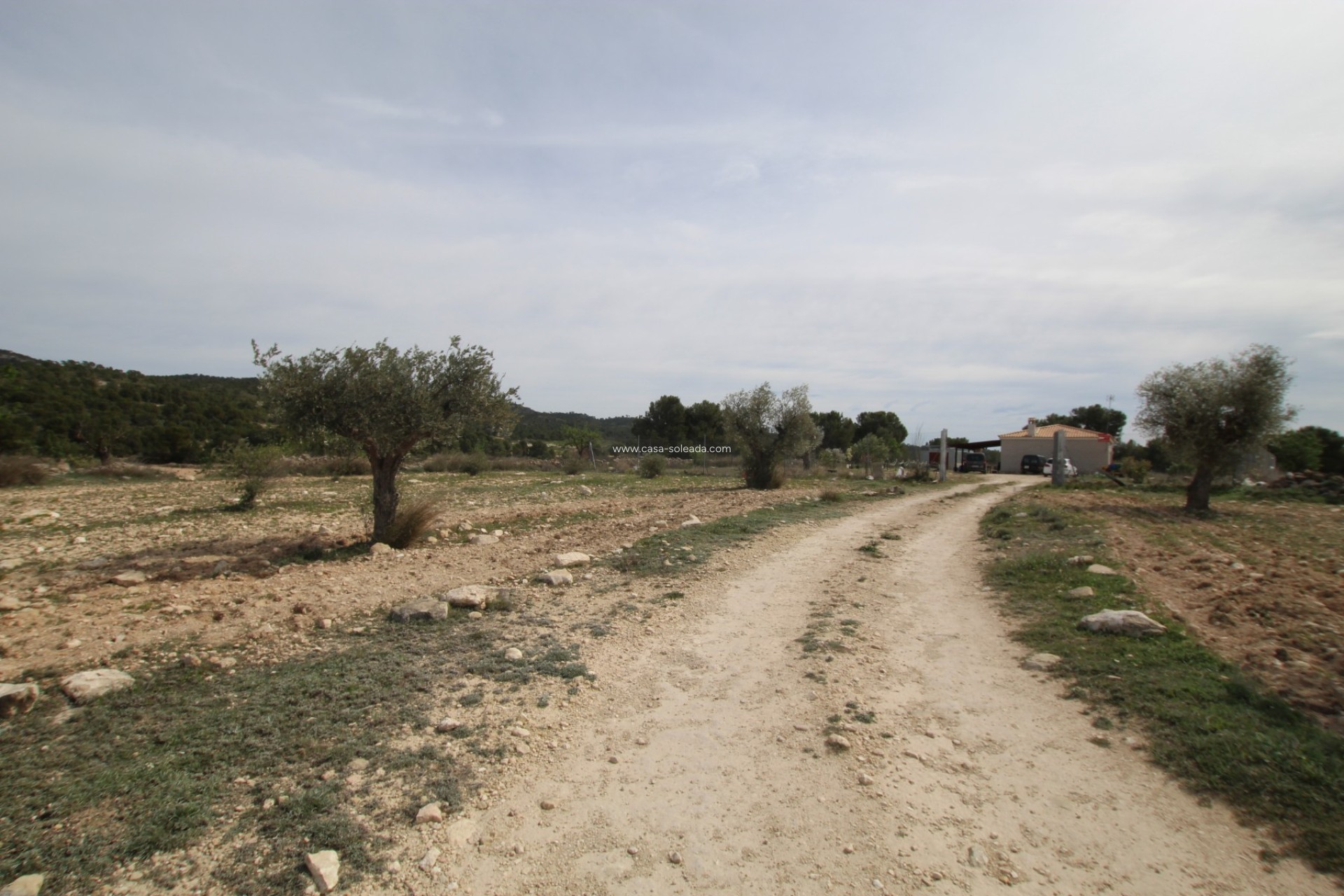 Wiederverkauf - Country Property/Finca - Monóvar - Inland