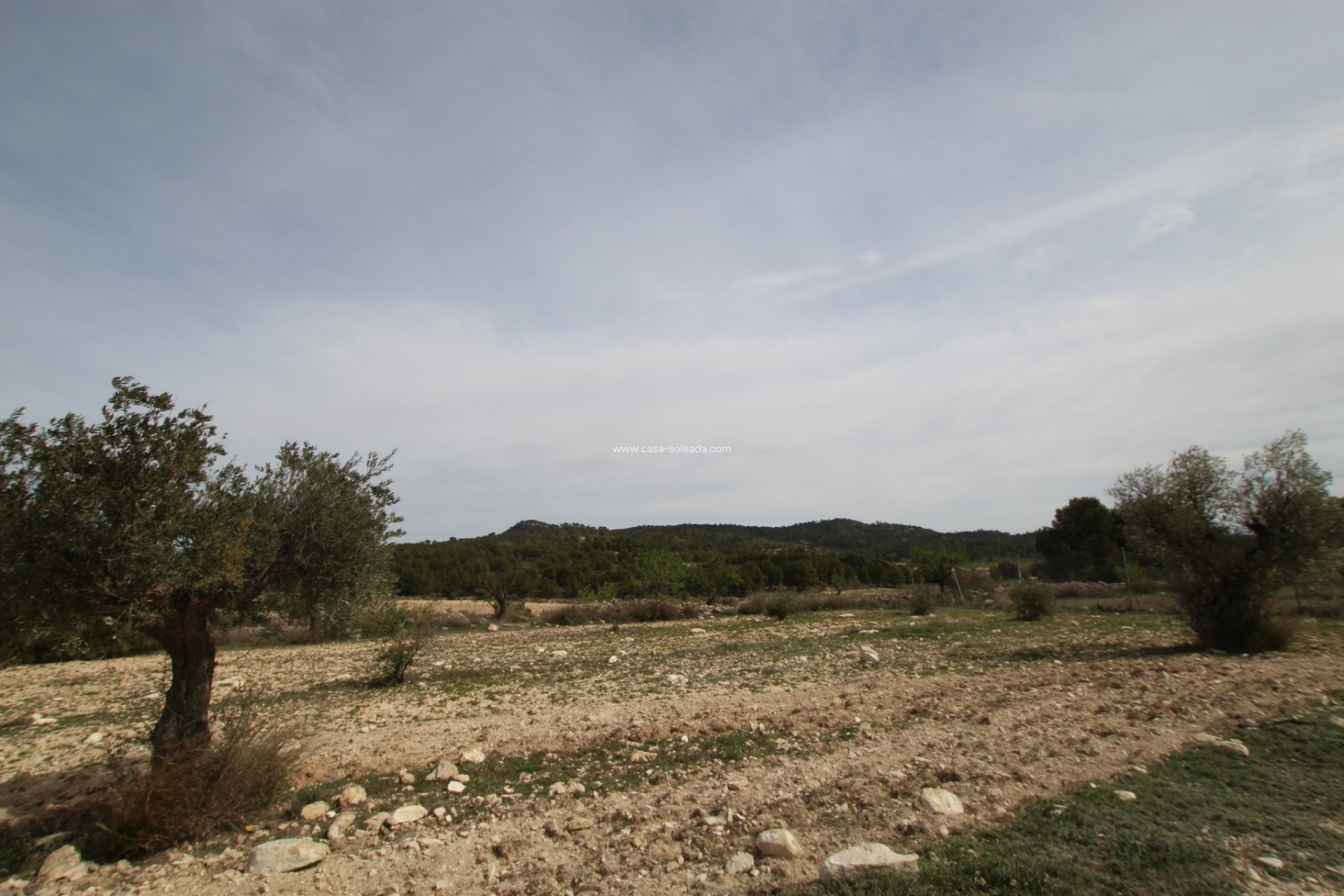Wiederverkauf - Country Property/Finca - Monóvar - Inland