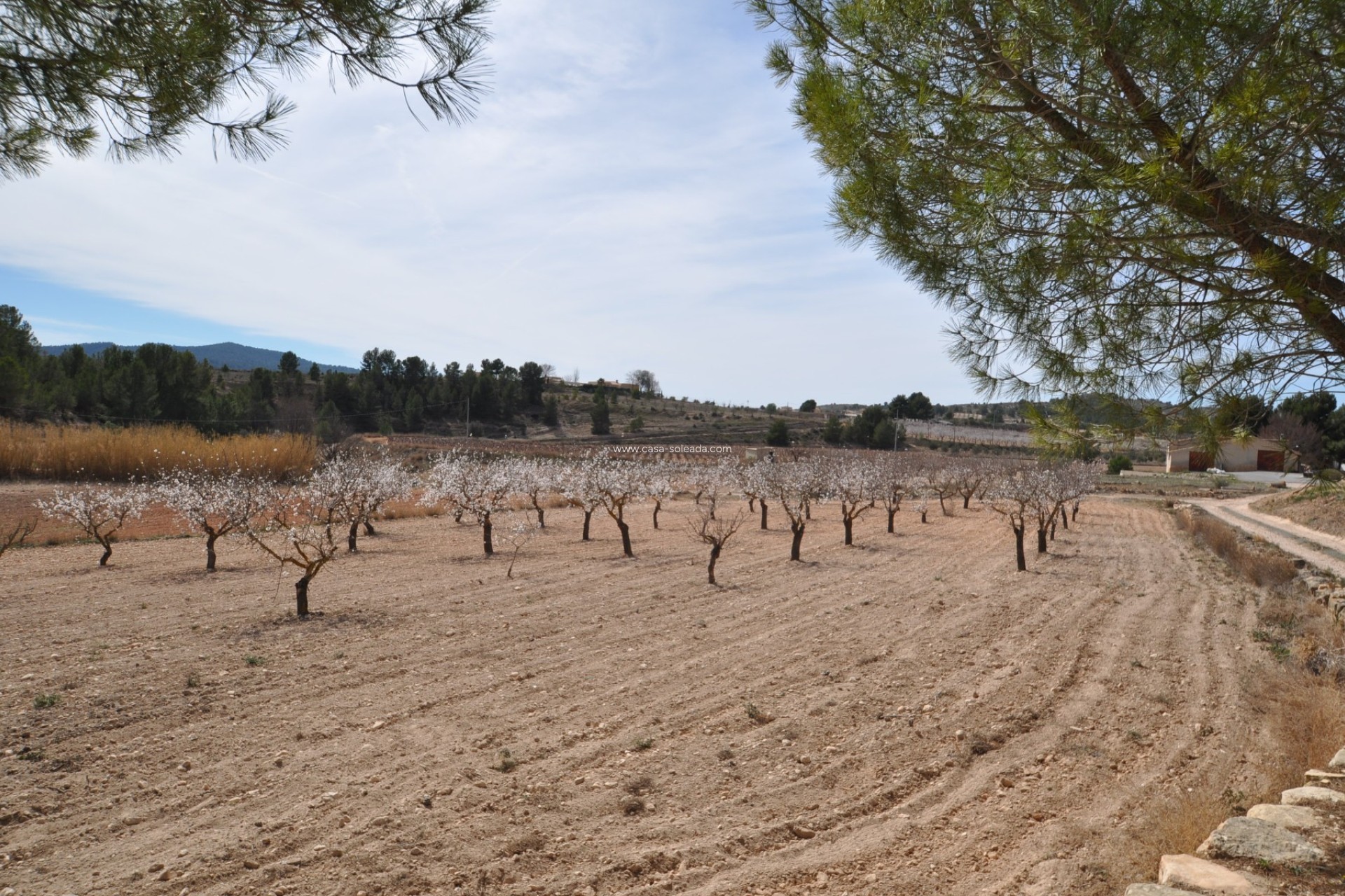 Wiederverkauf - Country Property/Finca - Monóvar - Inland