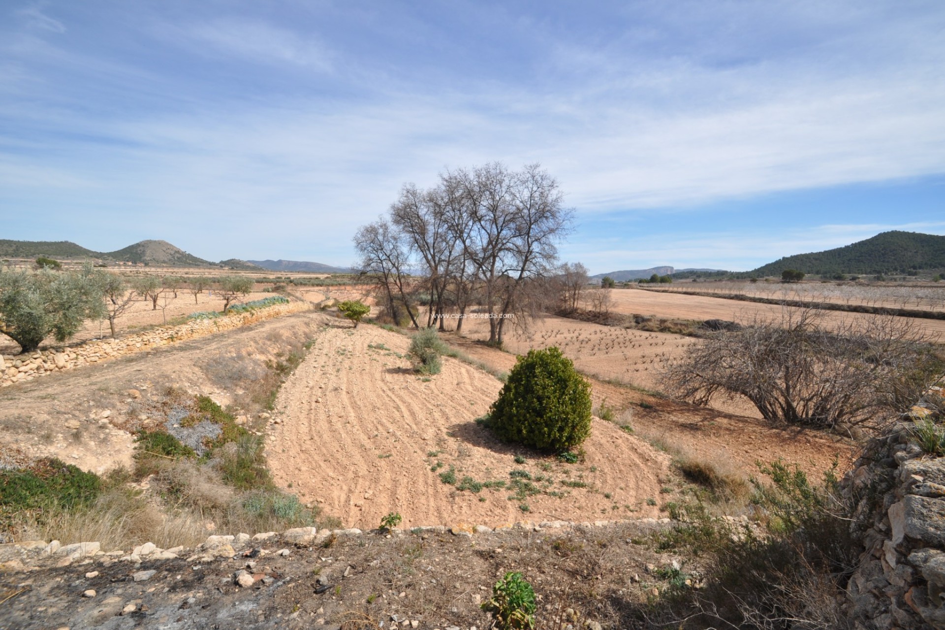 Wiederverkauf - Country Property/Finca - Monóvar - Inland