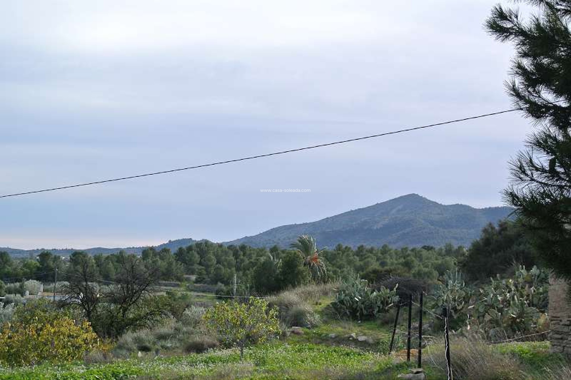 Wiederverkauf - Country Property/Finca - Monóvar - Inland