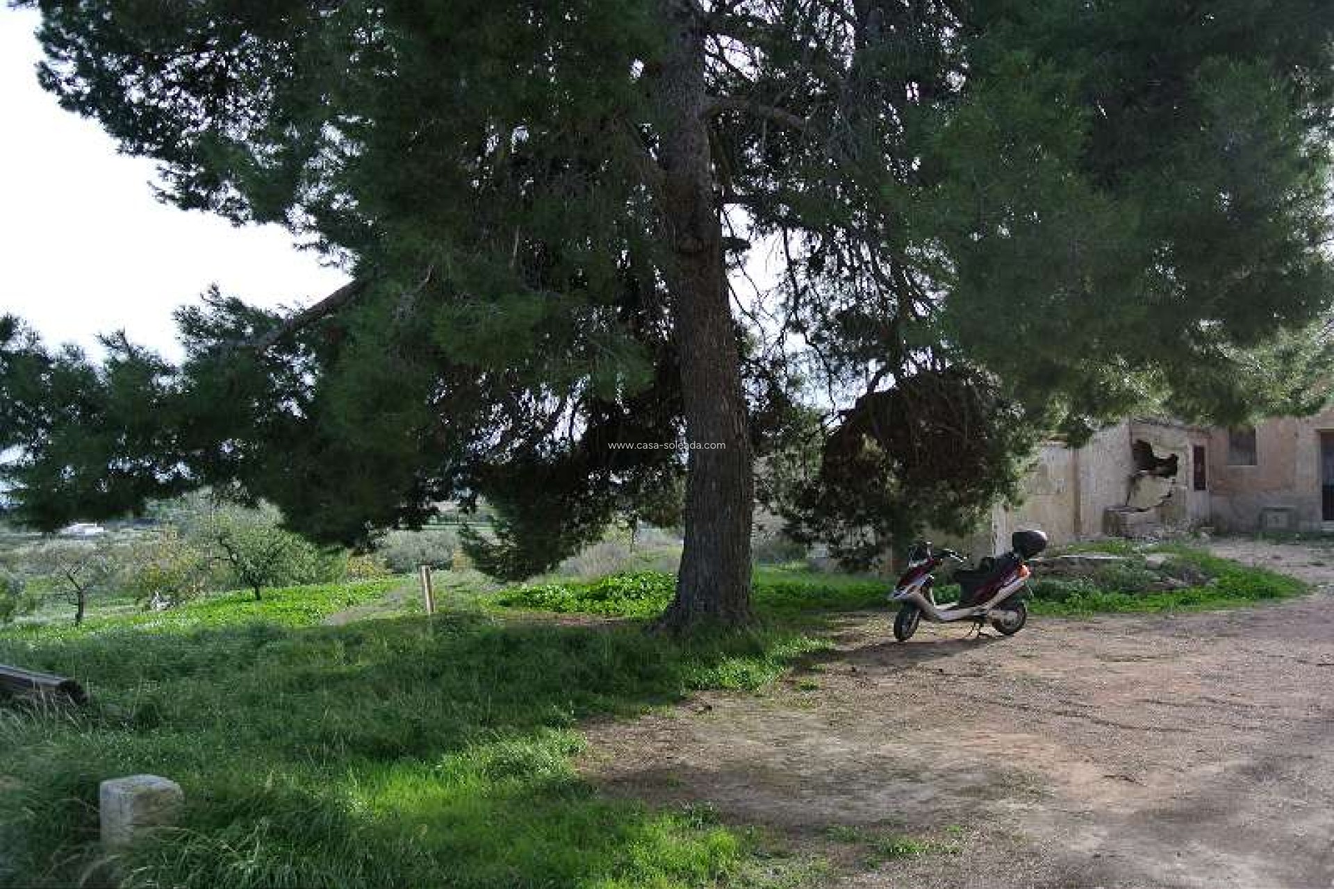 Wiederverkauf - Country Property/Finca - Monóvar - Inland