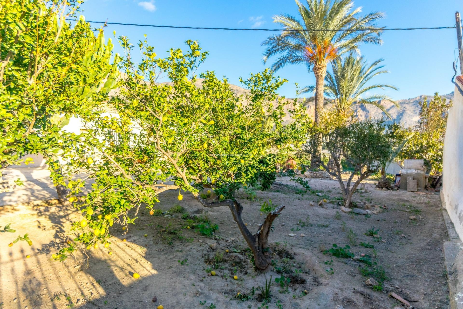 Wiederverkauf - Country Property/Finca - Orihuela - Raiguero De Bonanza