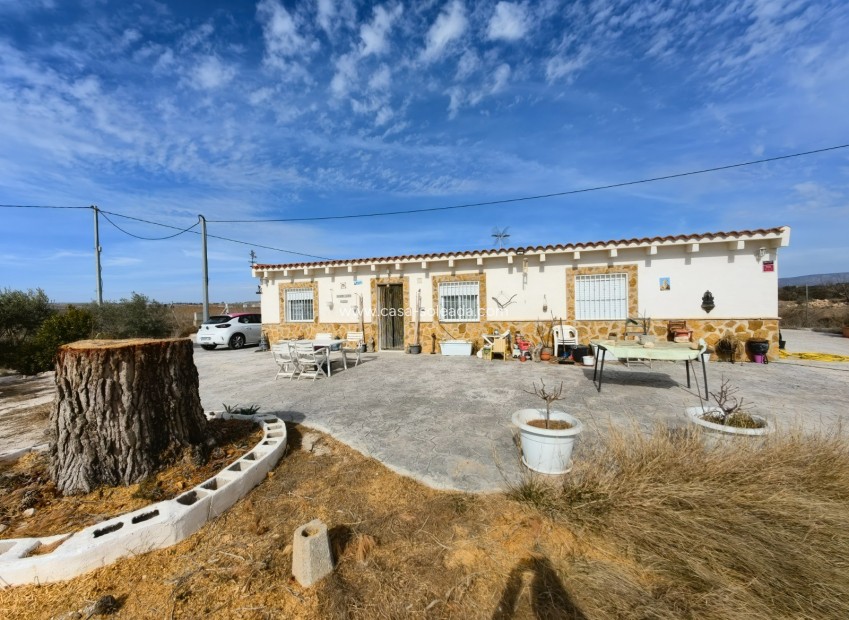 Wiederverkauf - Country Property/Finca - Pinoso - Inland