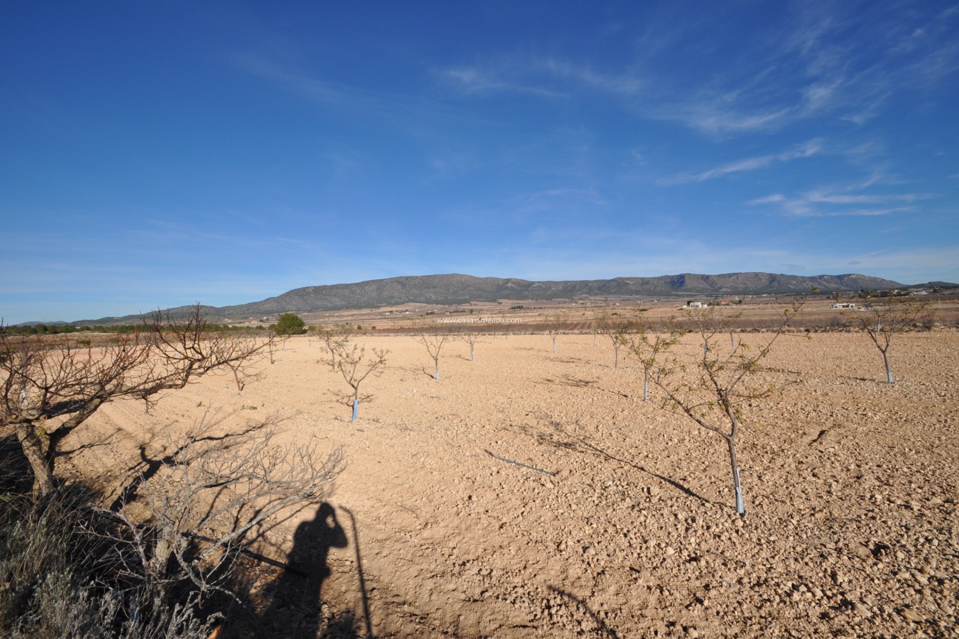 Wiederverkauf - Country Property/Finca - Pinoso - Inland