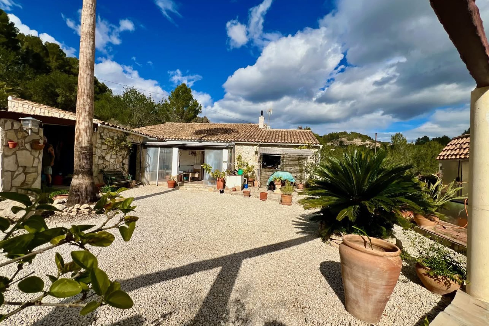 Wiederverkauf - Country Property/Finca - Pinoso - Inland