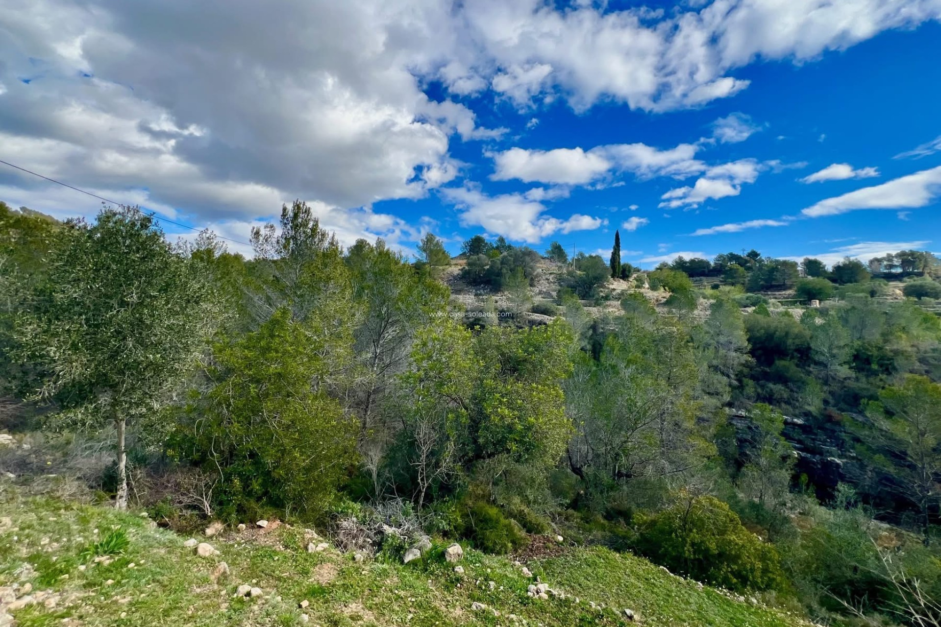 Wiederverkauf - Country Property/Finca - Pinoso - Inland