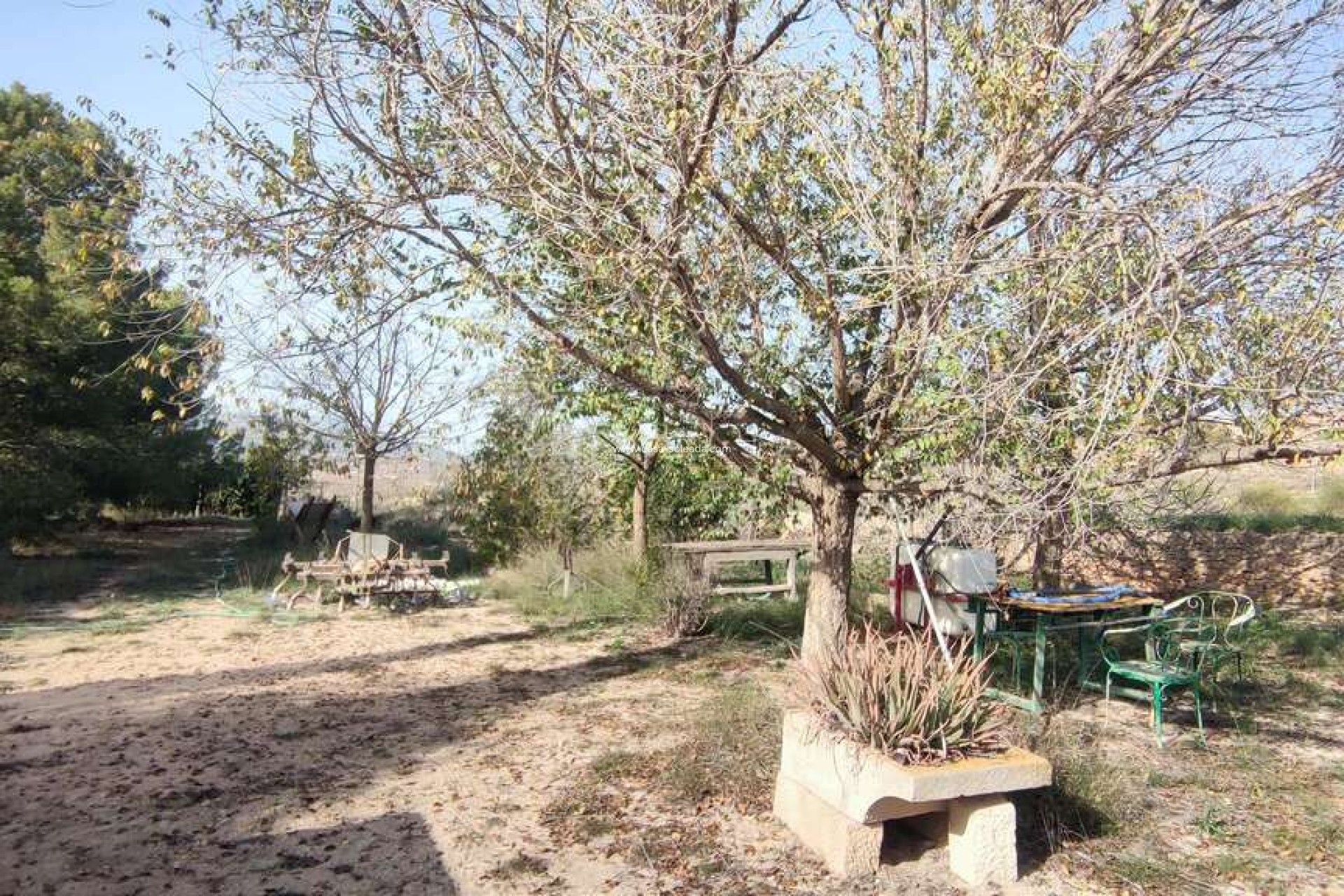 Wiederverkauf - Country Property/Finca - Pinoso - Inland