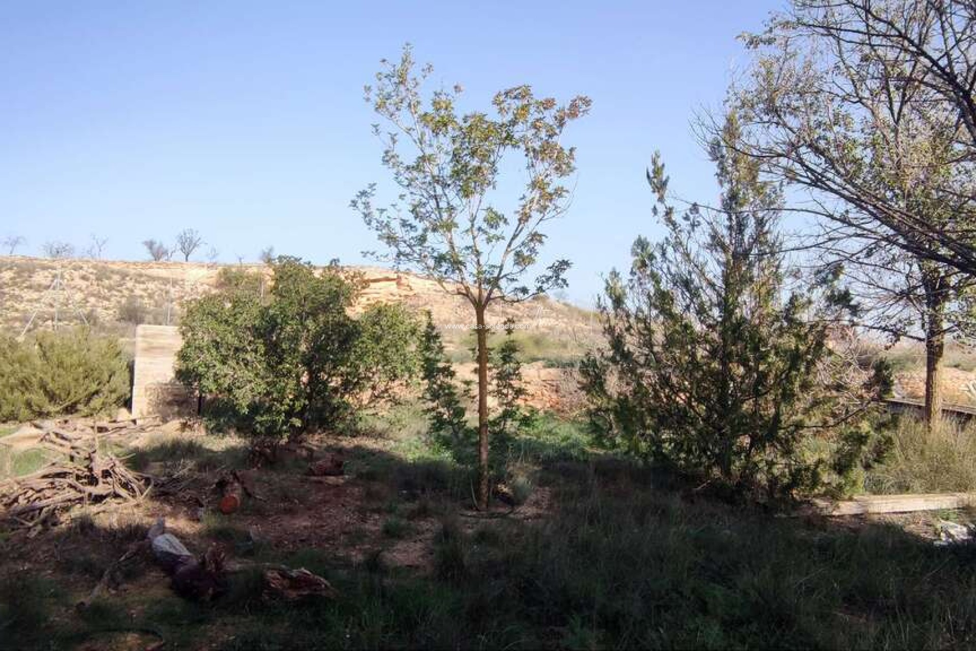 Wiederverkauf - Country Property/Finca - Pinoso - Inland