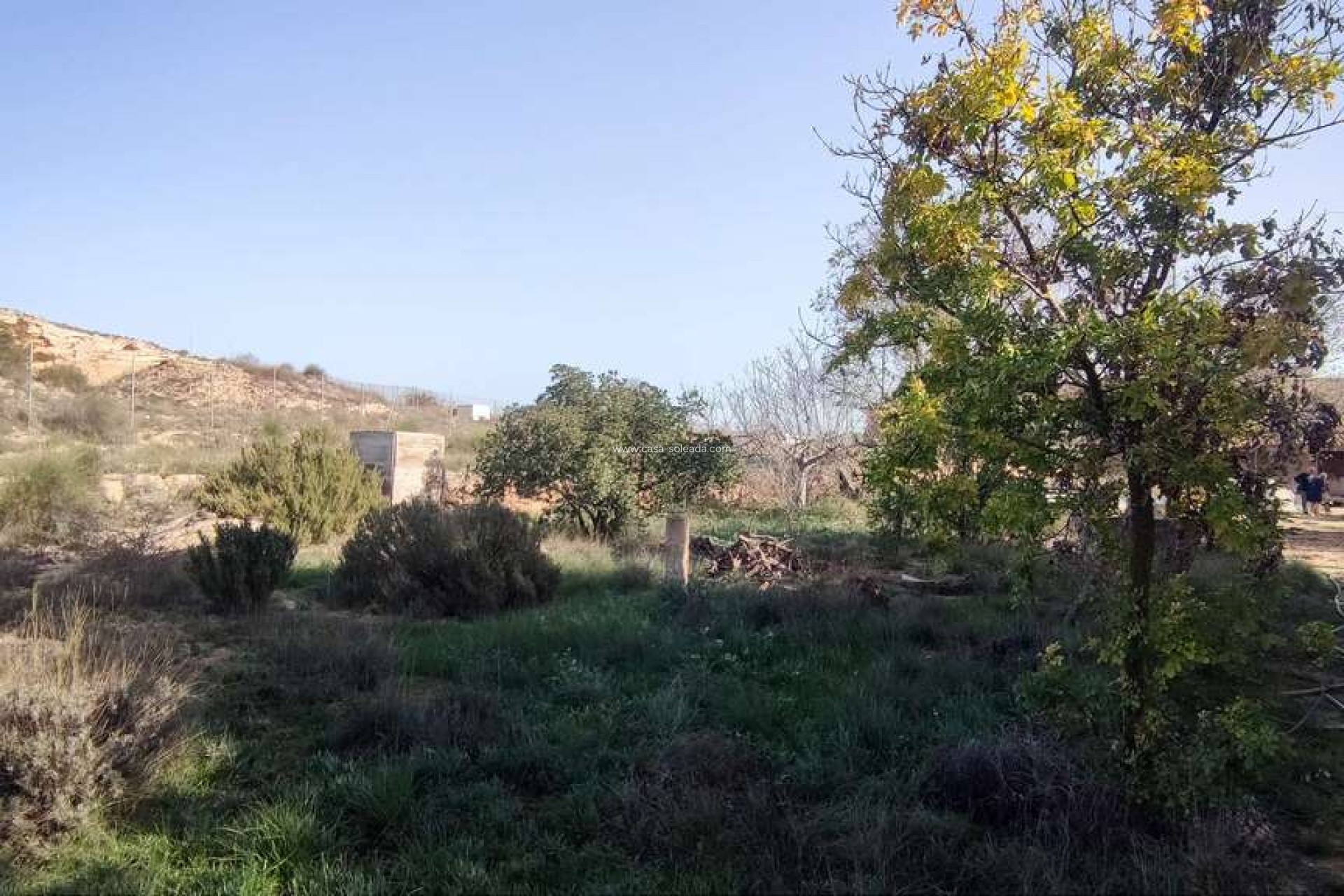 Wiederverkauf - Country Property/Finca - Pinoso - Inland