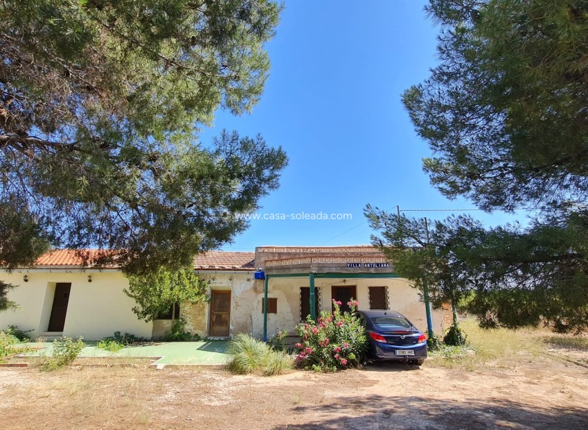Wiederverkauf - Country Property/Finca - Pinoso - Inland