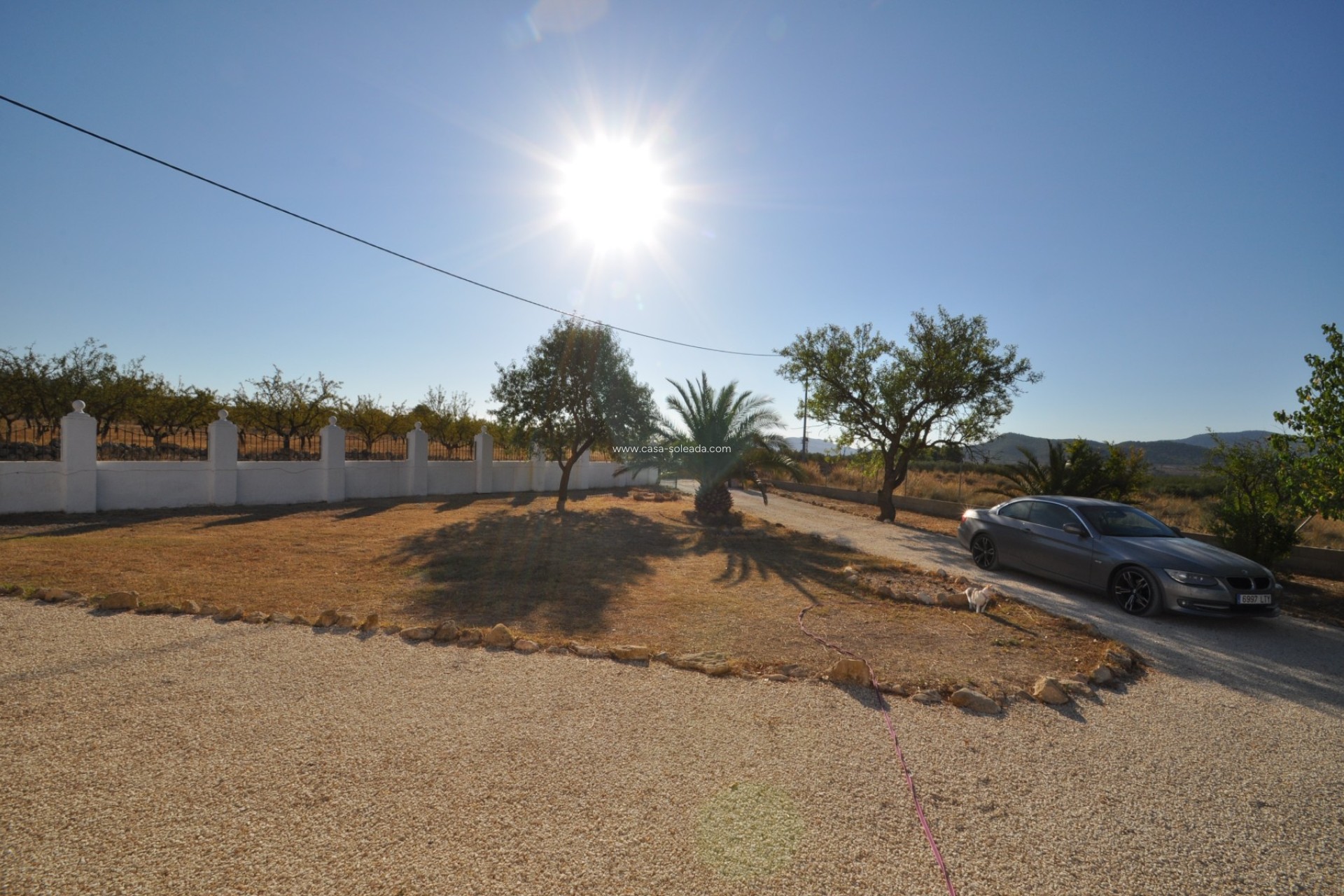 Wiederverkauf - Country Property/Finca - Pinoso - Inland