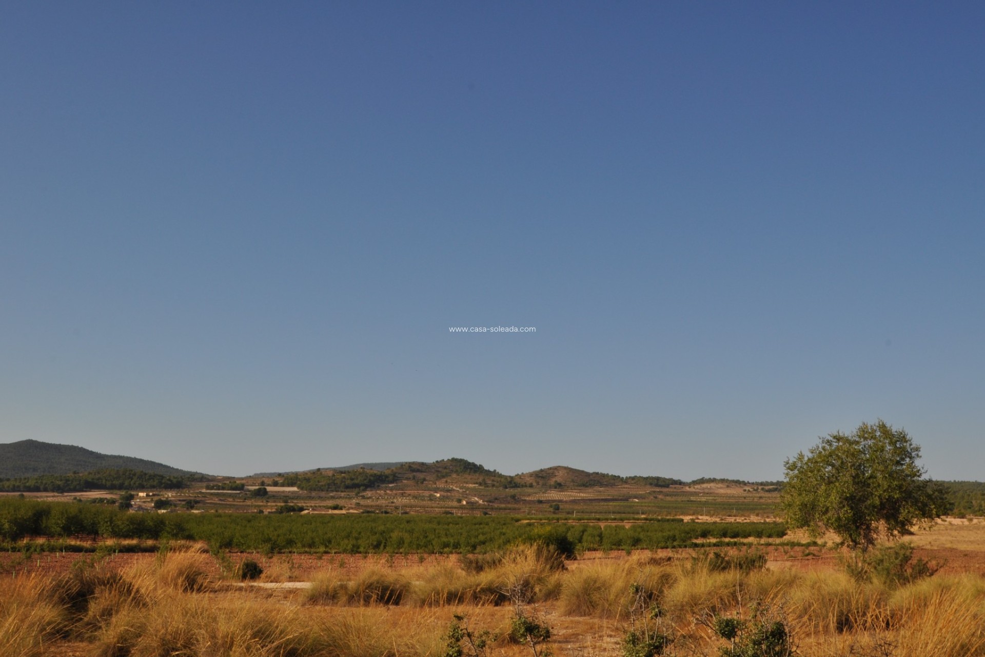 Wiederverkauf - Country Property/Finca - Pinoso - Inland