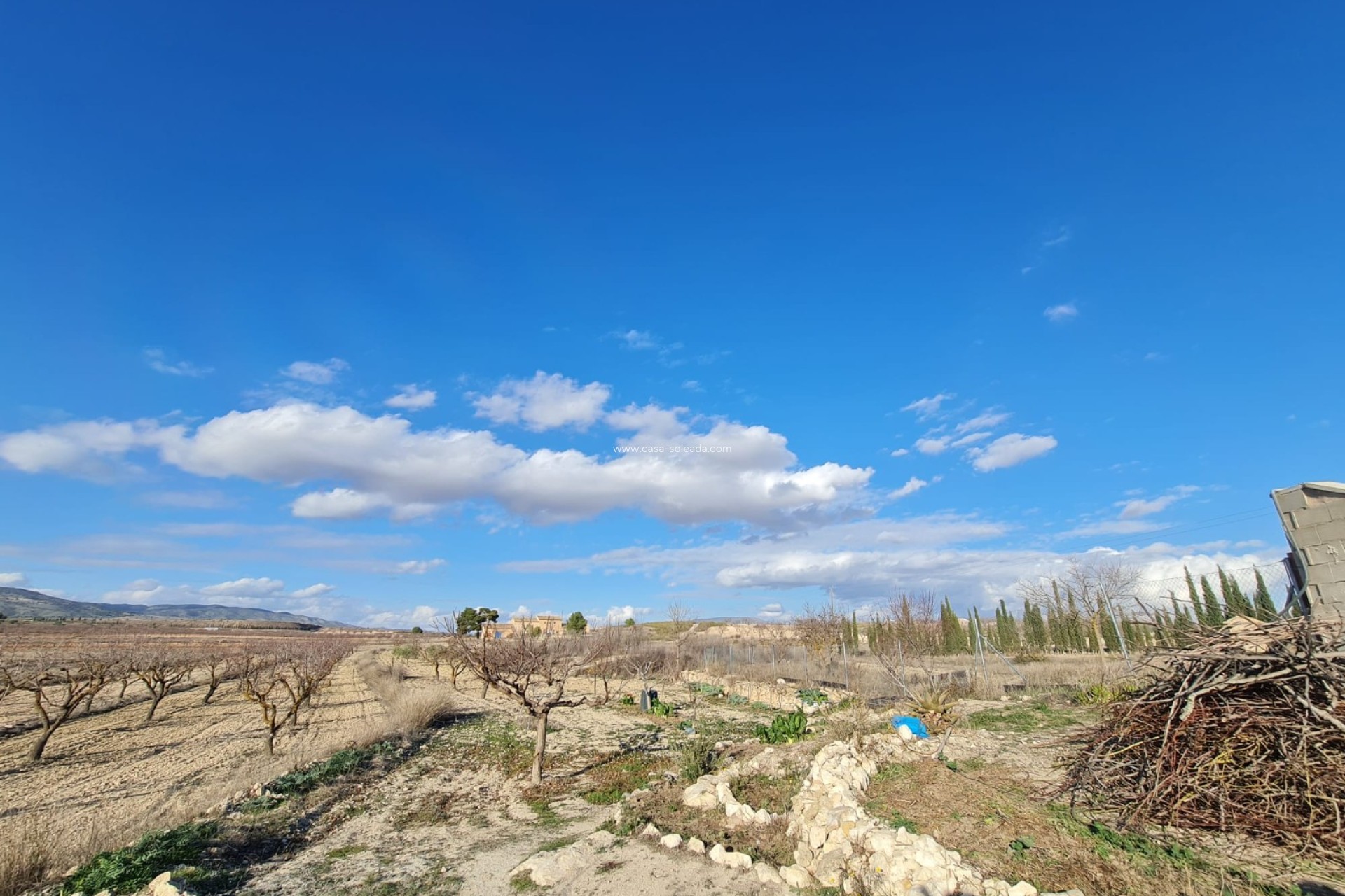 Wiederverkauf - Country Property/Finca - Pinoso - Inland