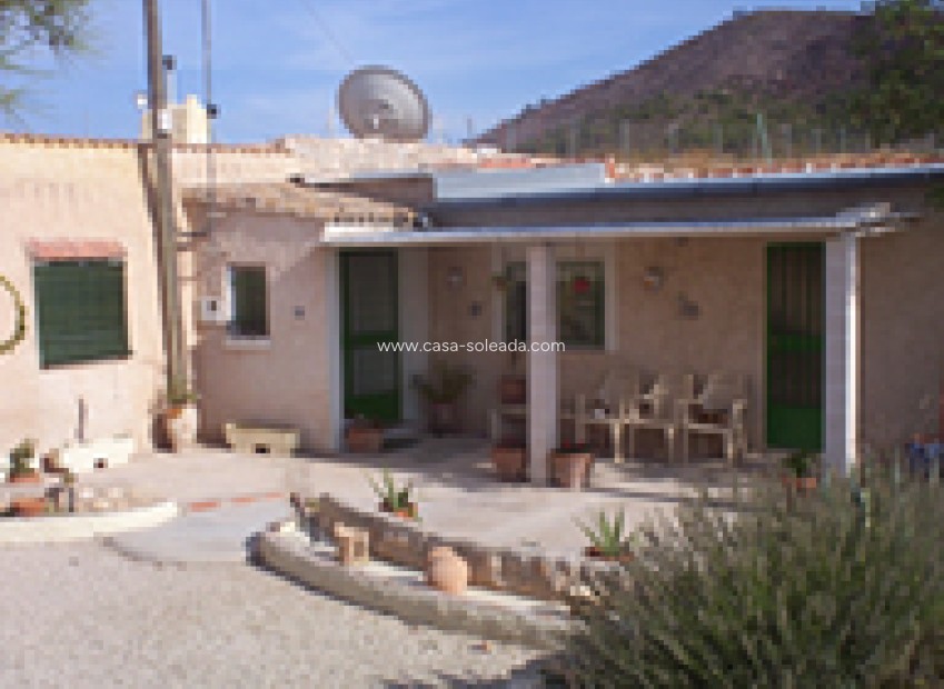 Wiederverkauf - Country Property/Finca - Pinoso - Inland