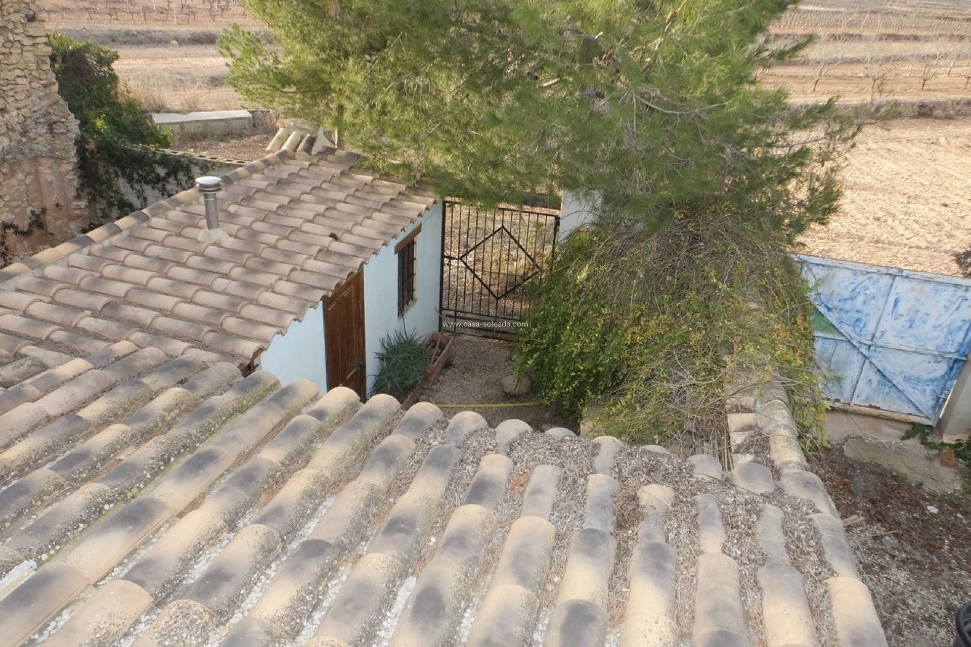 Wiederverkauf - Country Property/Finca - Pinoso - Inland