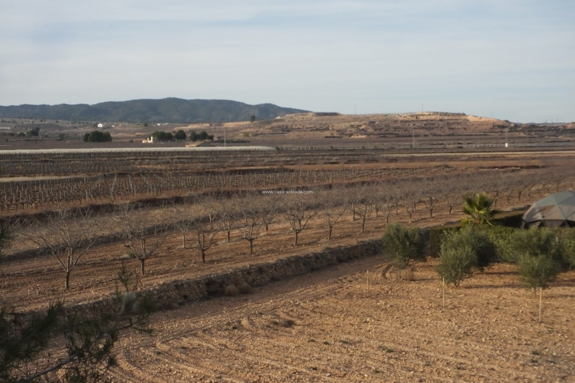 Wiederverkauf - Country Property/Finca - Pinoso - Inland