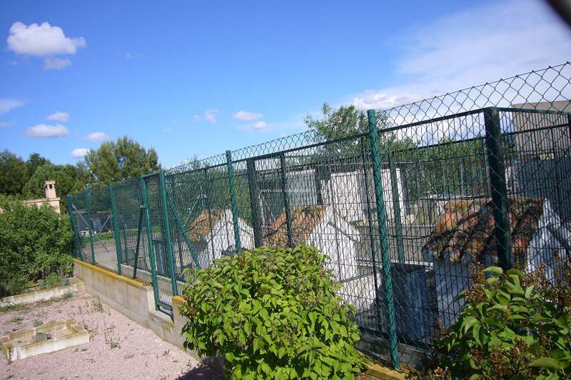 Wiederverkauf - Country Property/Finca - Salinas - Inland