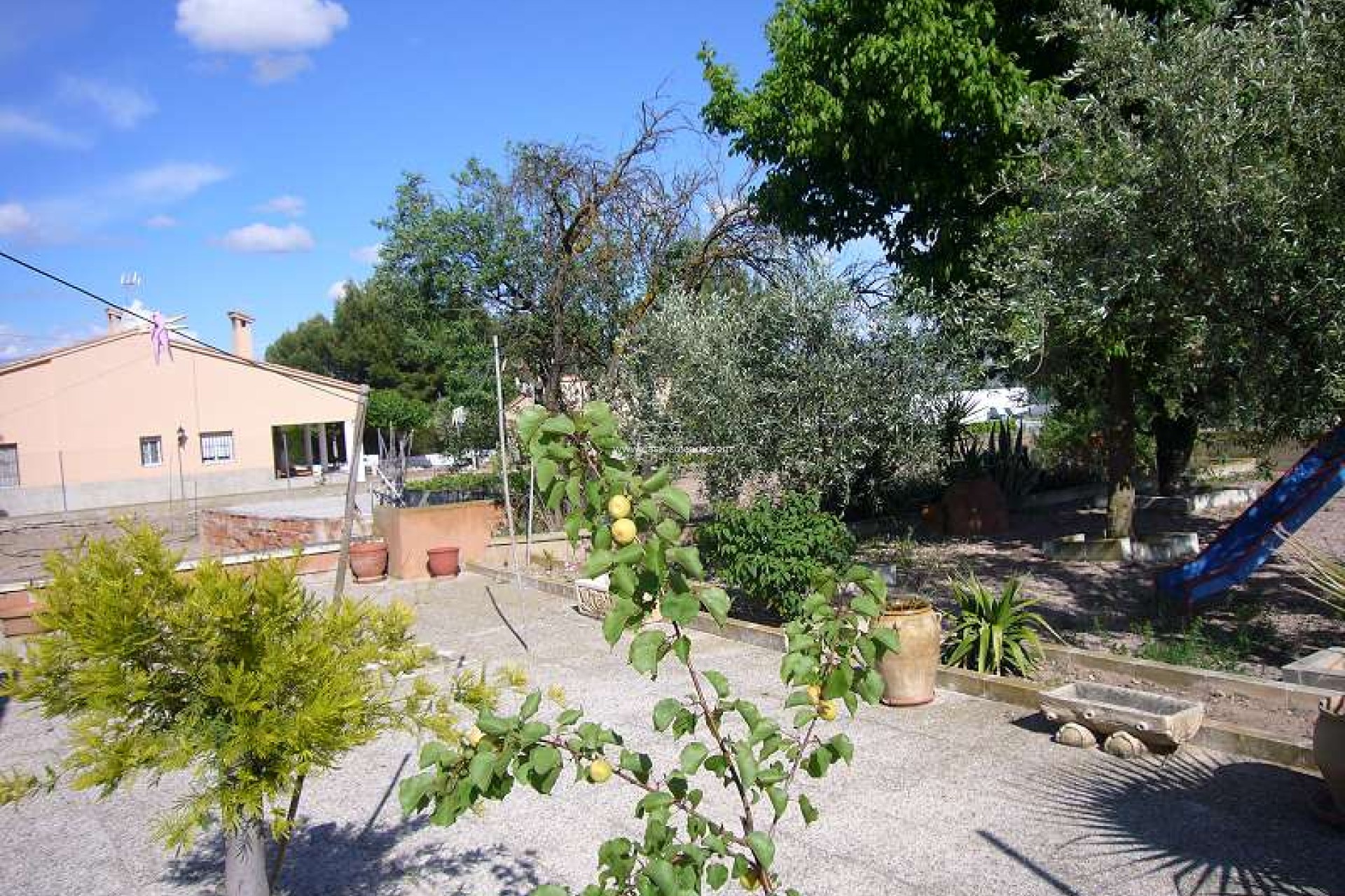 Wiederverkauf - Country Property/Finca - Salinas - Inland