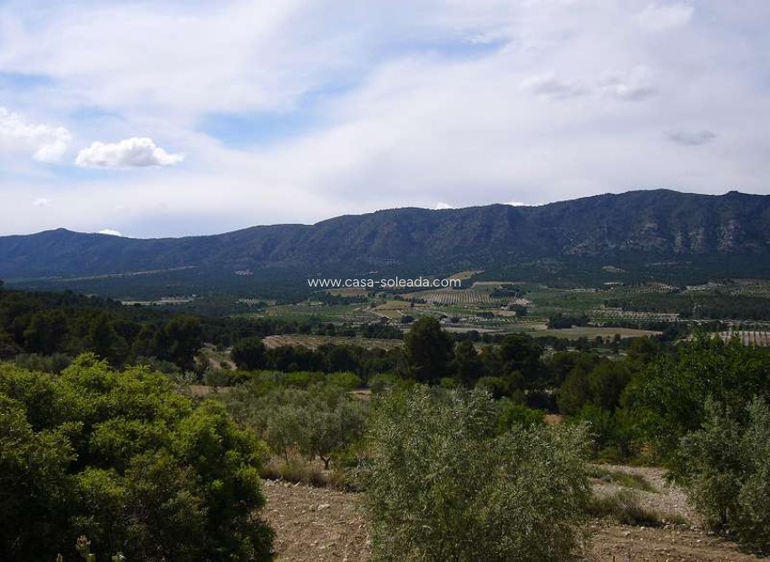 Wiederverkauf - Country Property/Finca - Salinas - Inland