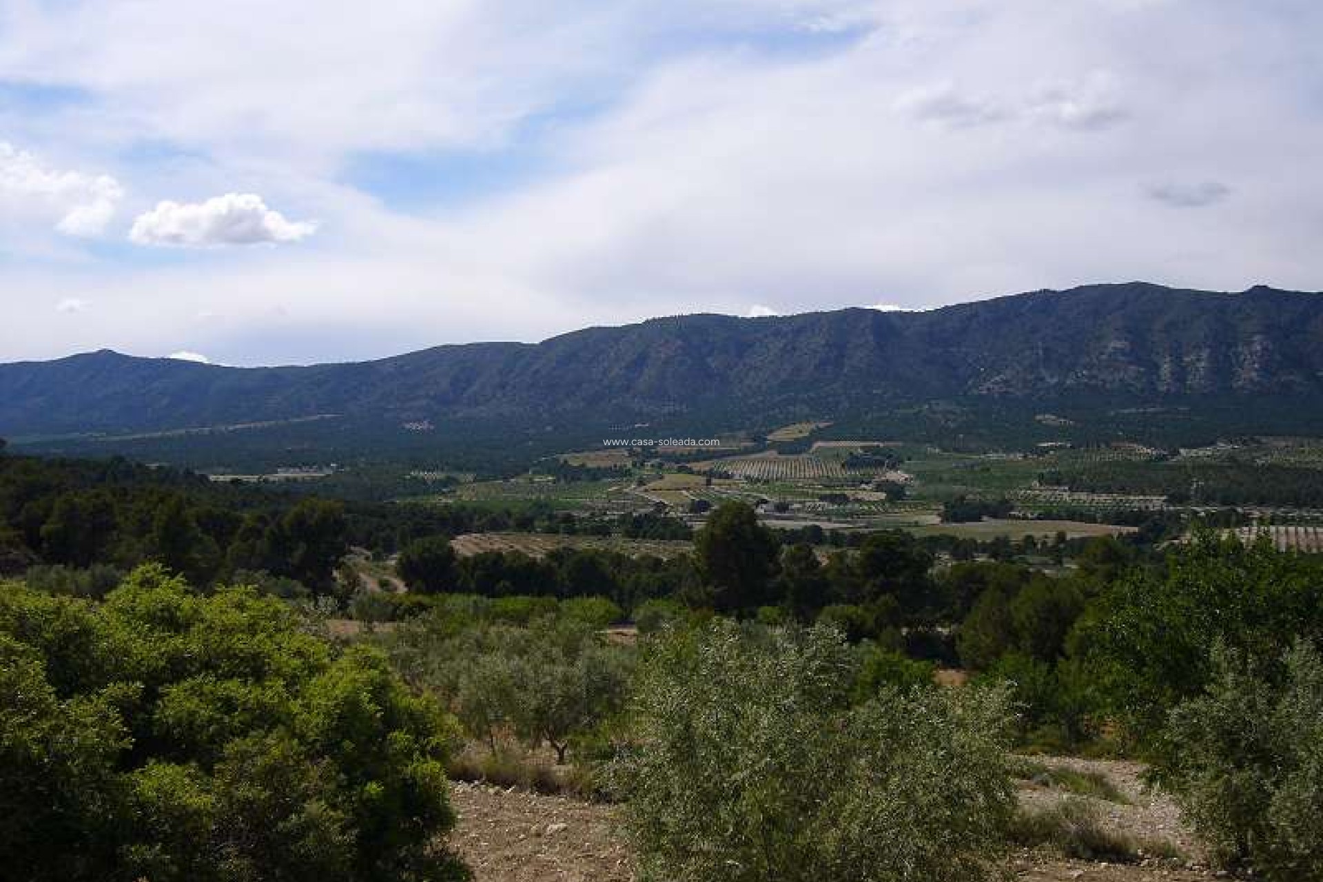 Wiederverkauf - Country Property/Finca - Salinas - Inland