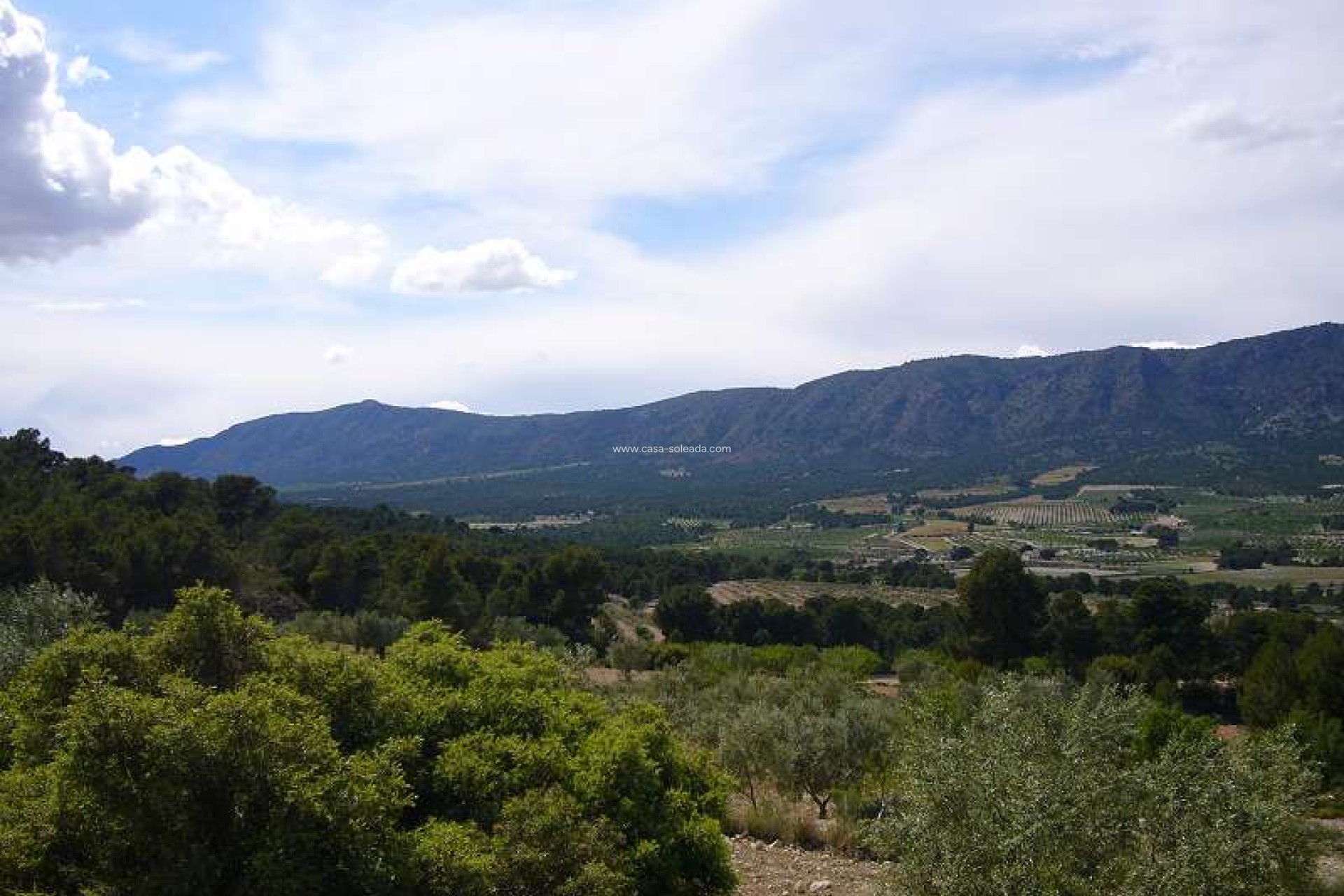 Wiederverkauf - Country Property/Finca - Salinas - Inland