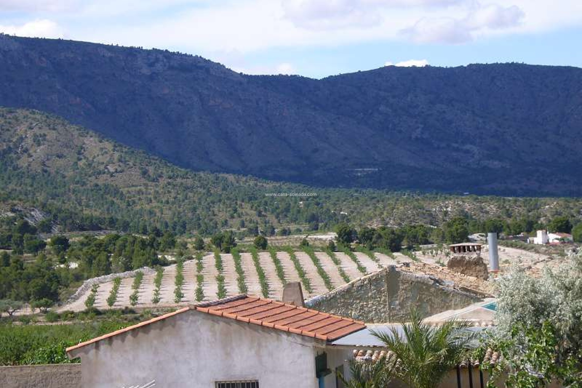 Wiederverkauf - Country Property/Finca - Salinas - Inland
