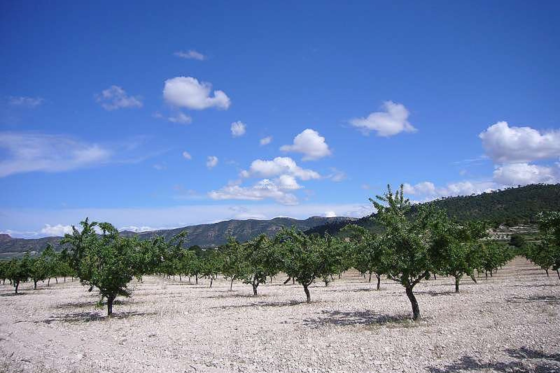 Wiederverkauf - Country Property/Finca - Salinas - Inland