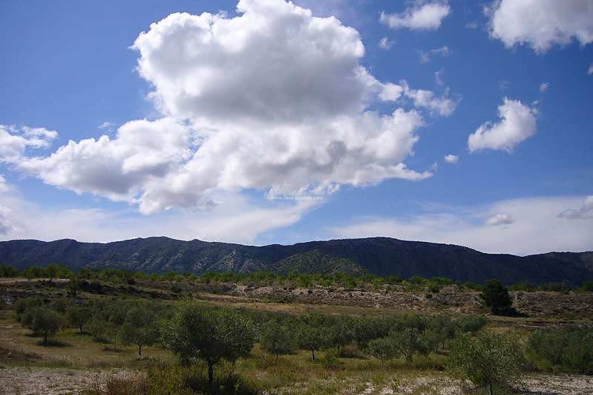 Wiederverkauf - Country Property/Finca - Salinas - Inland
