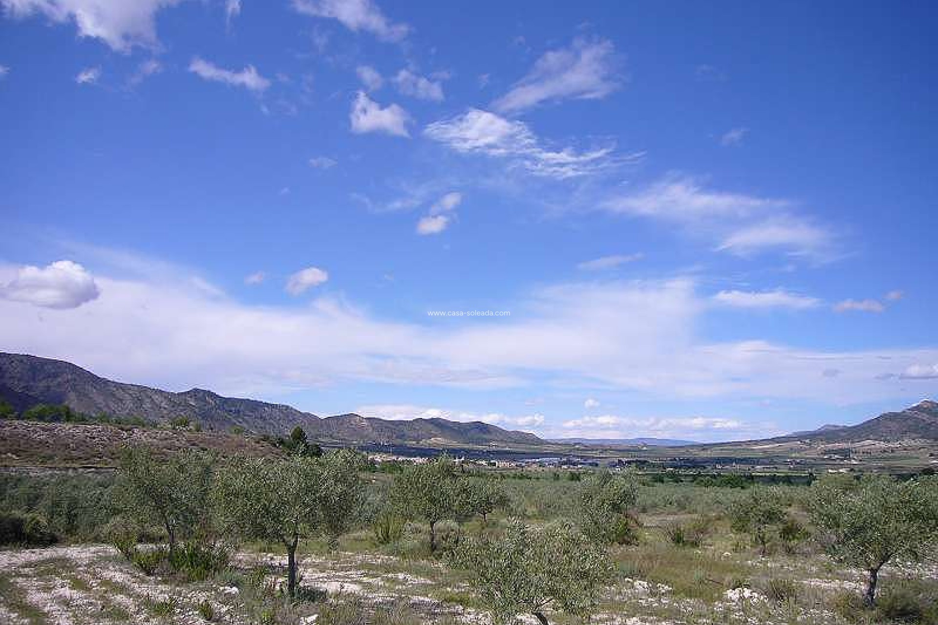 Wiederverkauf - Country Property/Finca - Salinas - Inland