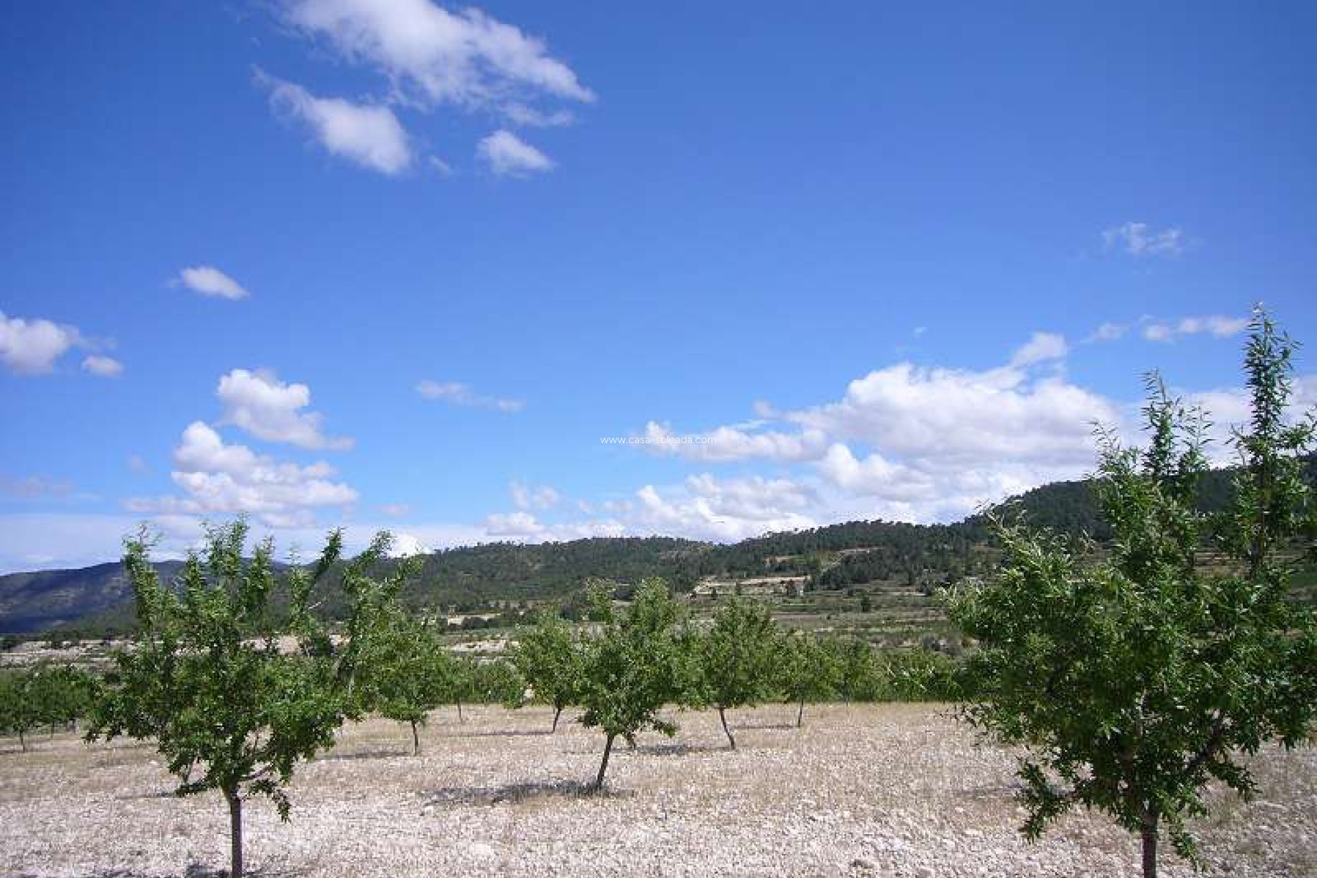 Wiederverkauf - Country Property/Finca - Salinas - Inland