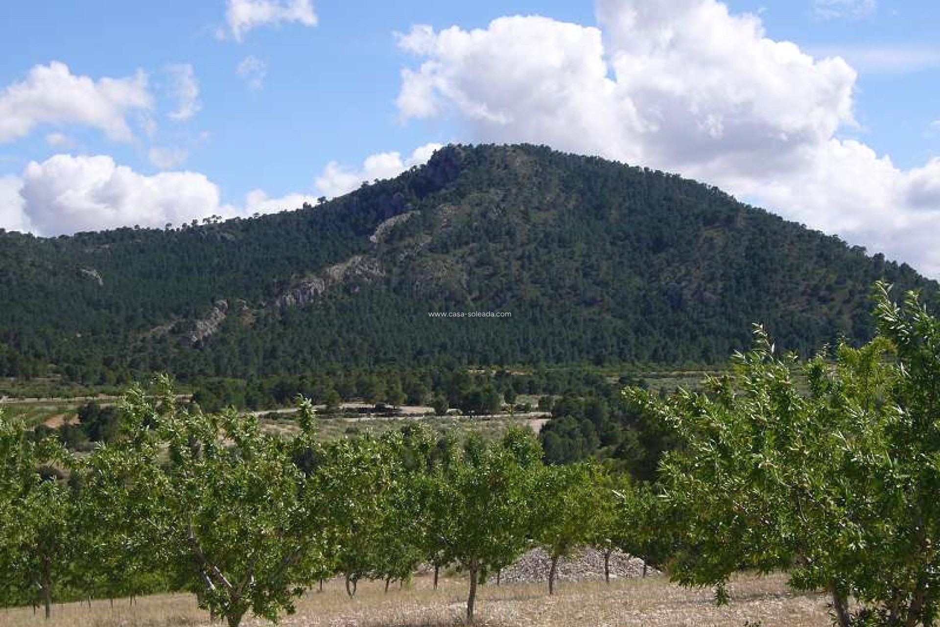 Wiederverkauf - Country Property/Finca - Salinas - Inland