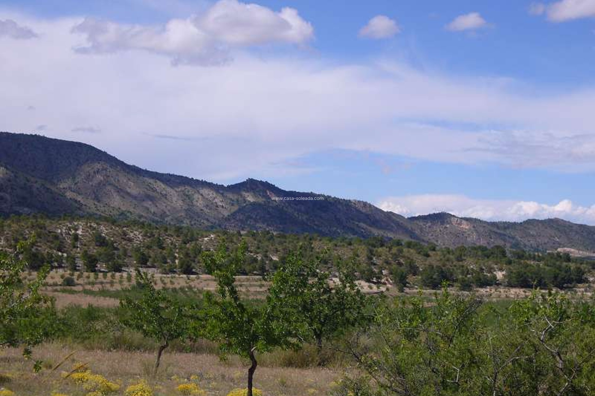 Wiederverkauf - Country Property/Finca - Salinas - Inland