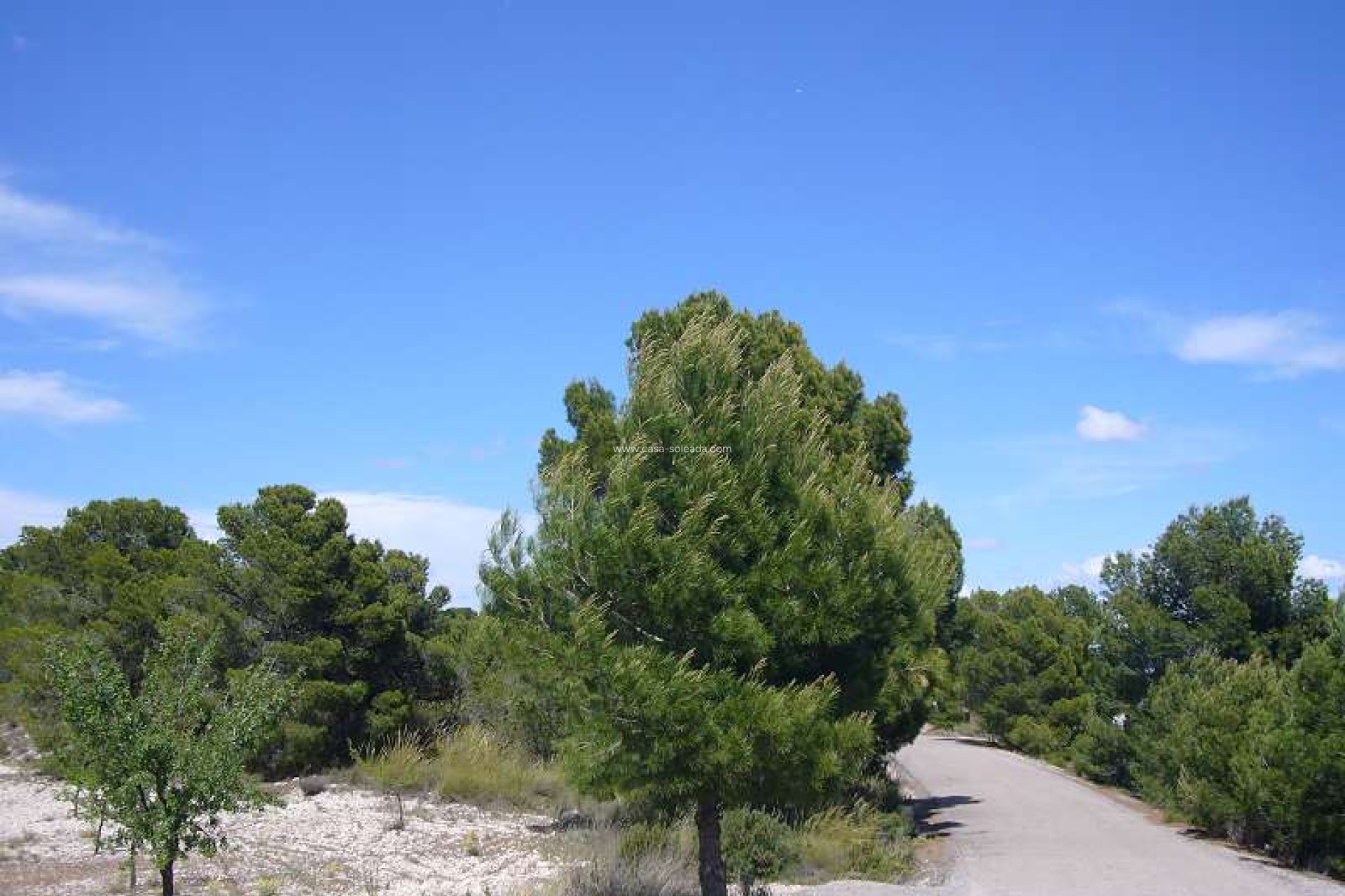 Wiederverkauf - Country Property/Finca - Salinas - Inland